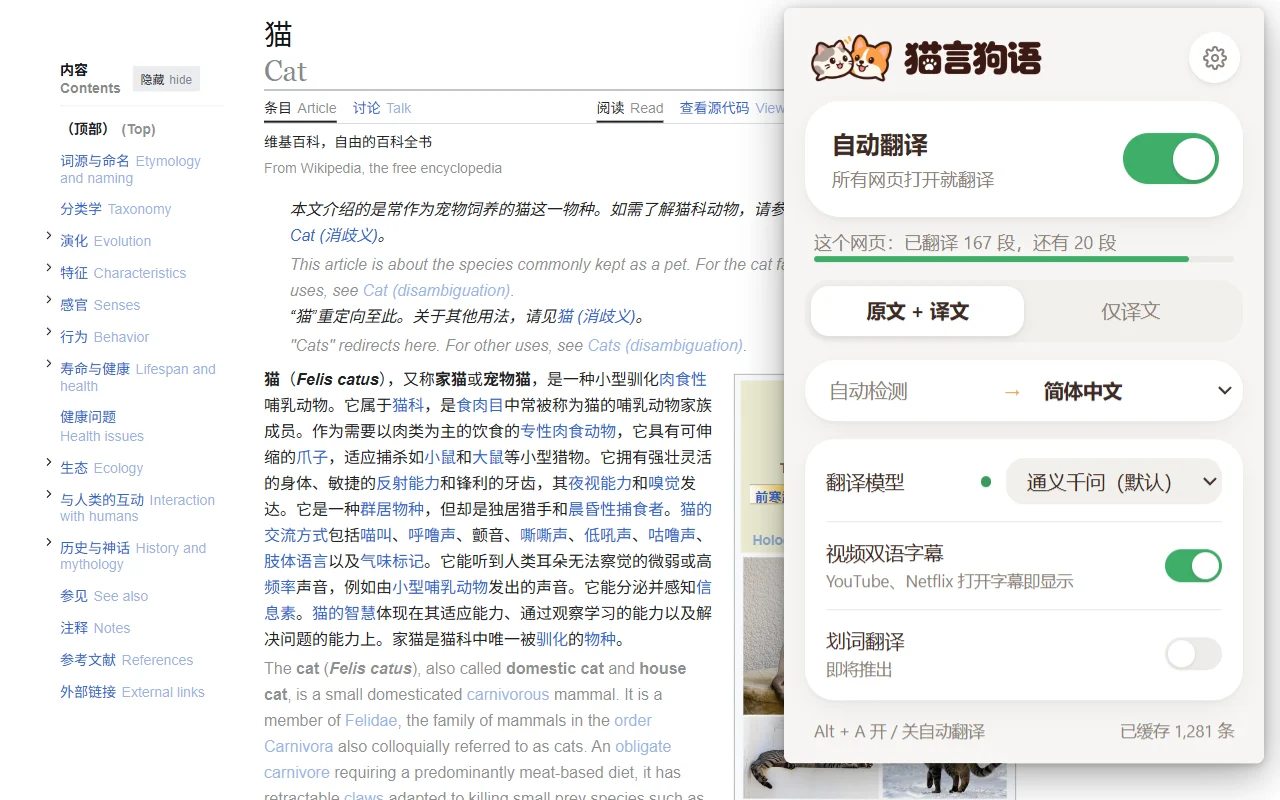 维基百科英文页面「Cat」的中英对照效果，右上角是插件弹窗